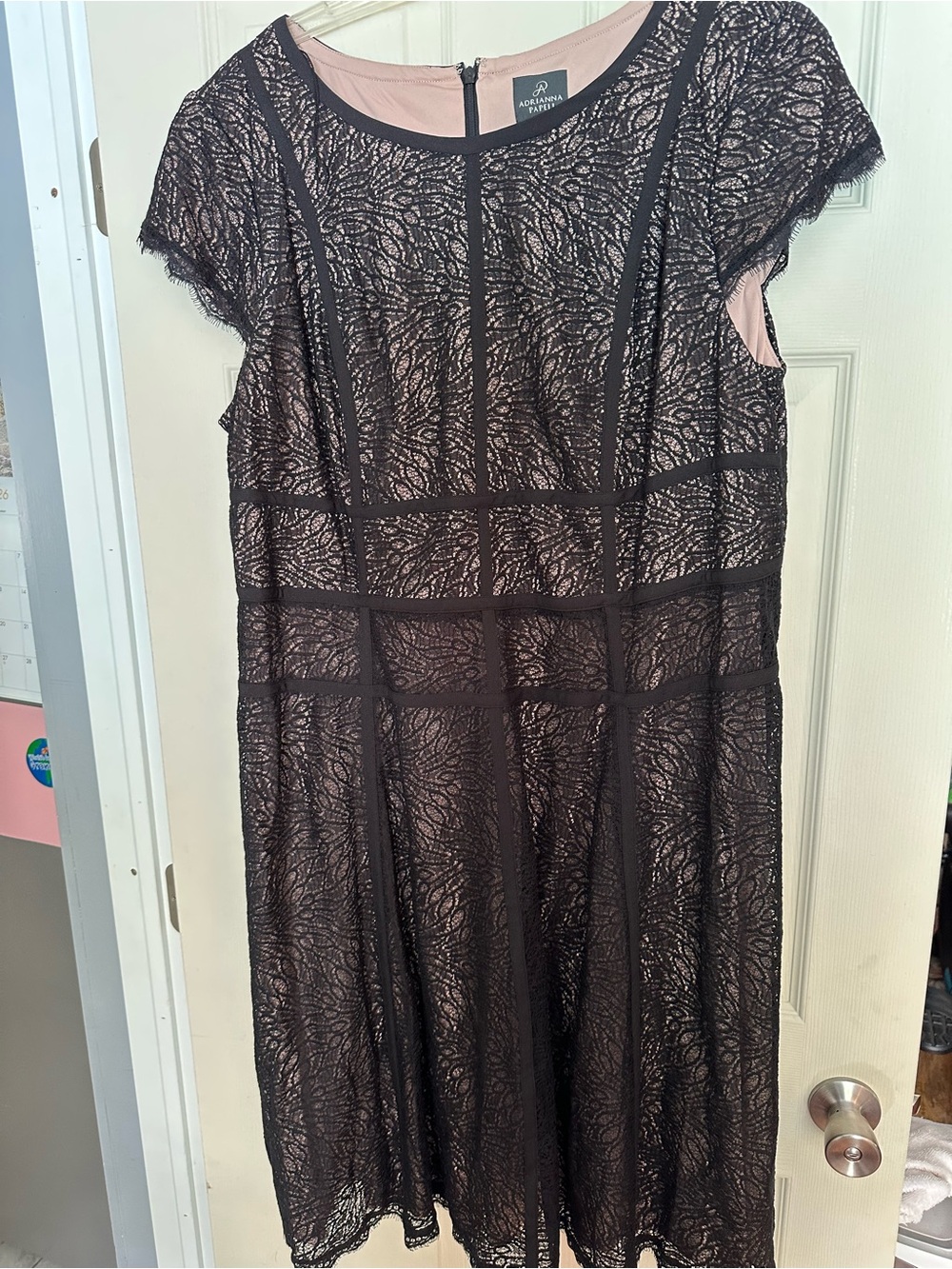 Adrianna Papell Black Lace Overlay Blush Slip Dress